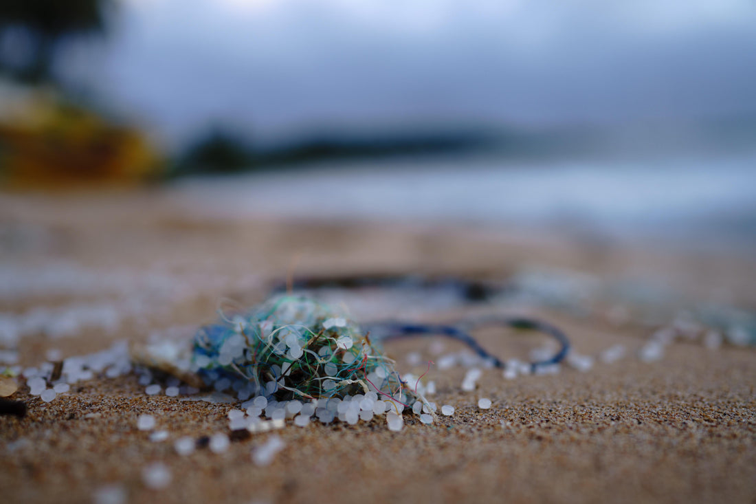 How Do Microplastics Affect Oceans & Marine Life?
