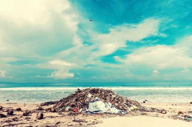 How our Trash Enters the Environment